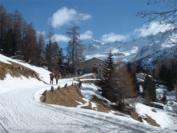 Rif. Saoseo - Val Viola (SO)