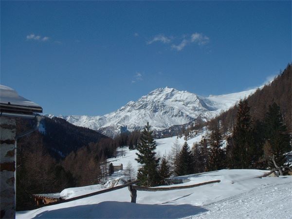 Rif. Saoseo - Val Viola (SO)