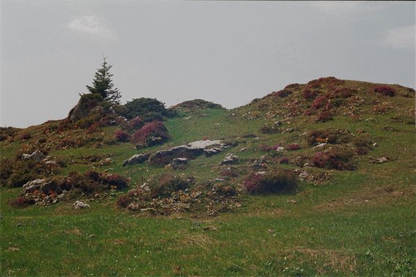 Notturna Piani d'Artavaggio (LC)