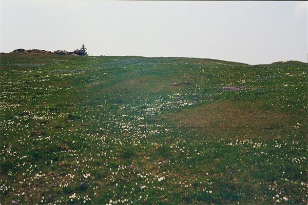 Notturna Piani d'Artavaggio (LC)
