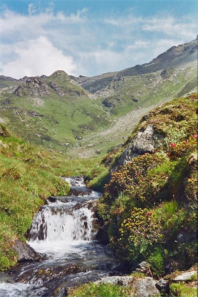 Grand Tournalin (AO)