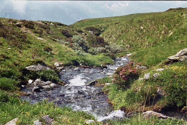 Grand Tournalin (AO)