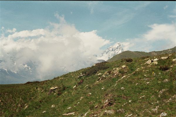Grand Tournalin (AO)