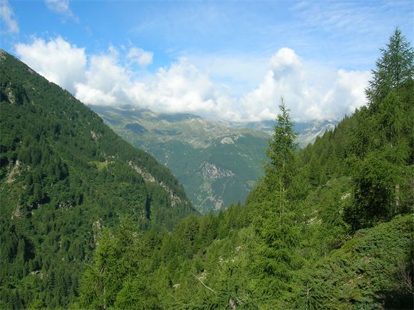 Rif. Chiavenna - Valle Spluga (SO)