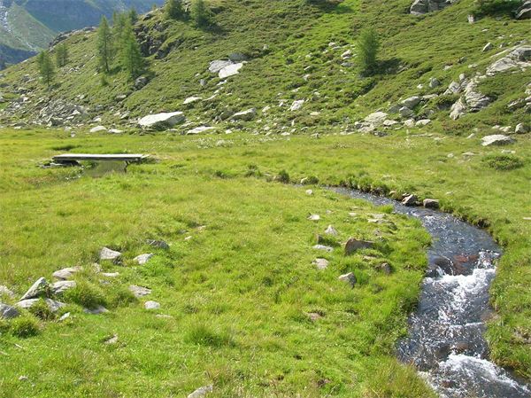 Rif. Chiavenna - Valle Spluga (SO)