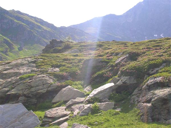 Rif. Chiavenna - Valle Spluga (SO)