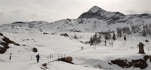 Con le ciaspole in Val Malenco (SO)