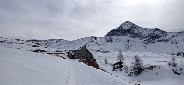Con le ciaspole in Val Malenco (SO)