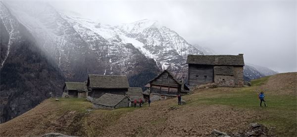 Salecchio (VB)