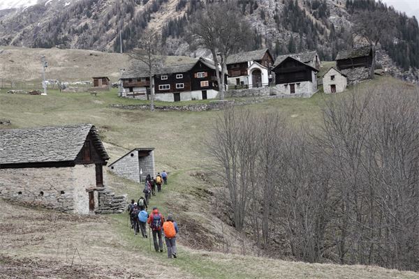 Salecchio (VB)