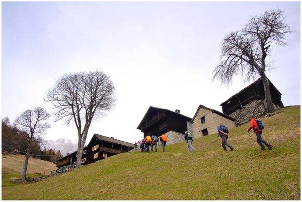 Salecchio (VB)