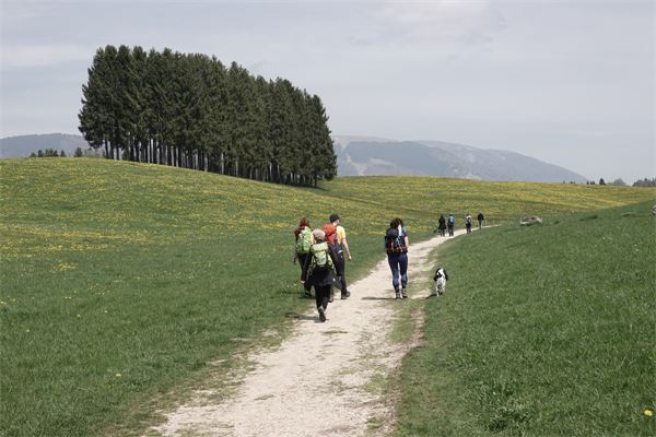Tra i forti dell'Altipiano di Asiago (VI)