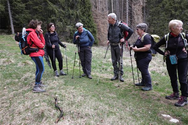Tra i forti dell'Altipiano di Asiago (VI)