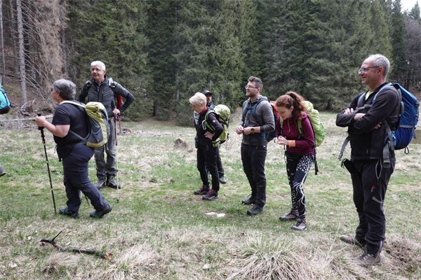 Tra i forti dell'Altipiano di Asiago (VI)