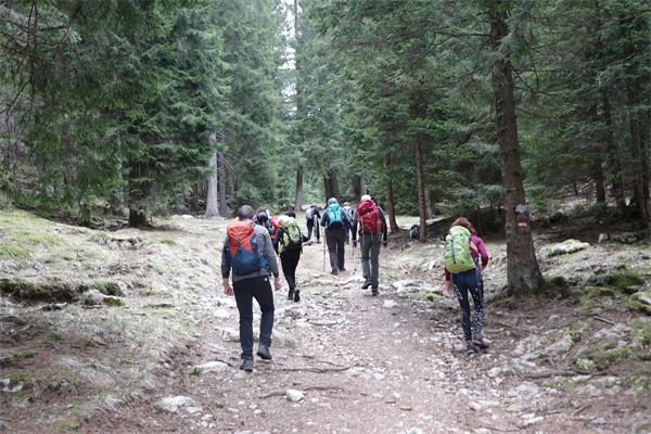 Tra i forti dell'Altipiano di Asiago (VI)