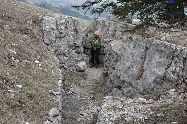 Tra i forti dell'Altipiano di Asiago (VI)