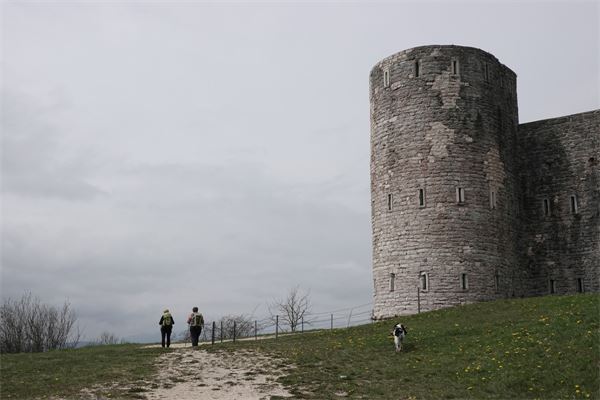 Tra i forti dell'Altipiano di Asiago (VI)