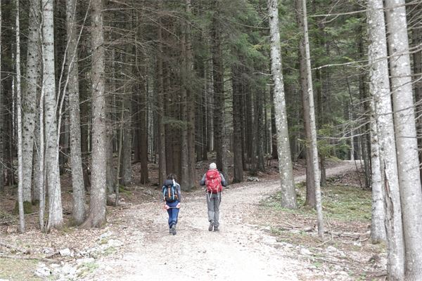 Tra i forti dell'Altipiano di Asiago (VI)