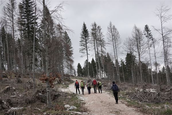 Tra i forti dell'Altipiano di Asiago (VI)