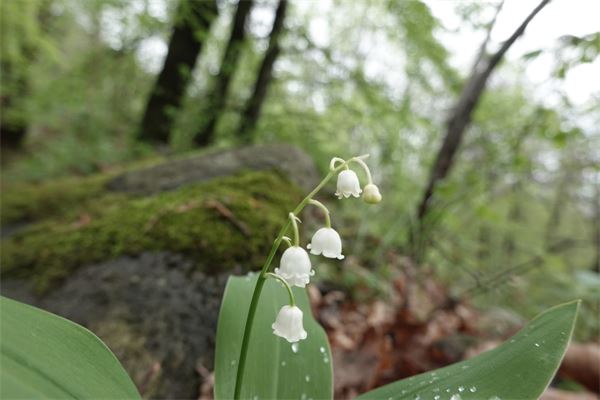 Rifugio Spanna Osella (VC)