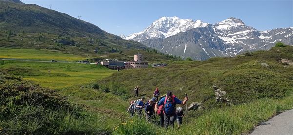 Monte Spitzhoerli-Sempione (CH) - con Cai Cusano M