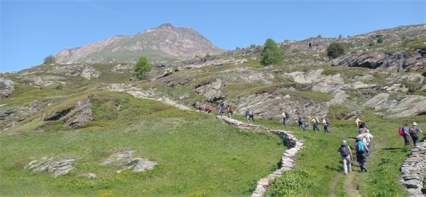 Monte Spitzhoerli-Sempione (CH) - con Cai Cusano M