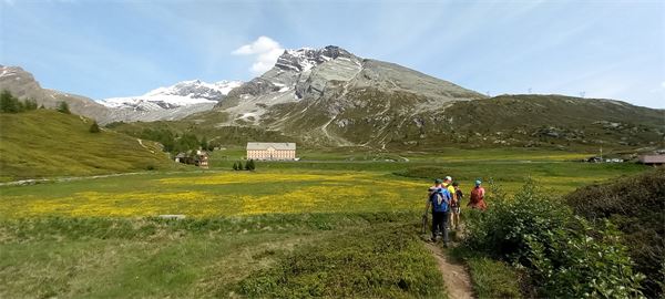 Monte Spitzhoerli-Sempione (CH) - con Cai Cusano M