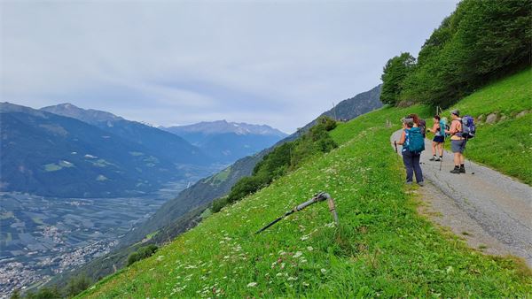 ALTA VIA DI MERANO