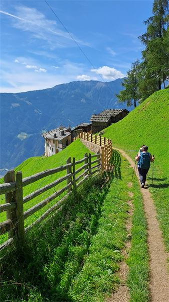 ALTA VIA DI MERANO