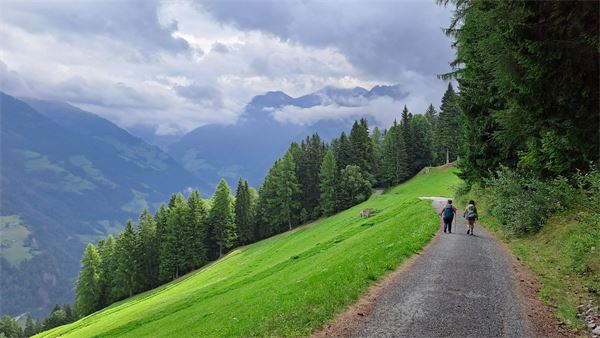 ALTA VIA DI MERANO