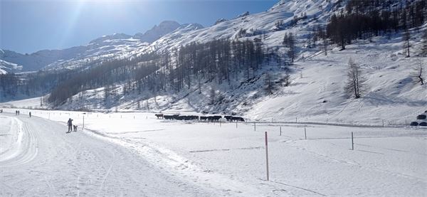 Valle di Fex (CH)
