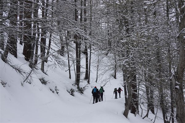 Passo Gran San Bernardo (AO-CH)