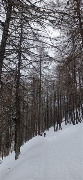 Passo Gran San Bernardo (AO-CH)