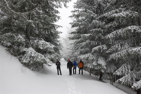 Passo Gran San Bernardo (AO-CH)