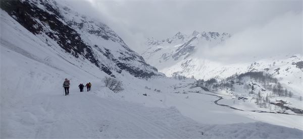Rifugio Maria Luisa (VB)
