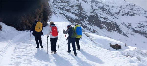 Rifugio Maria Luisa (VB)