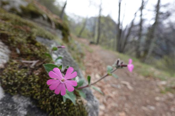 Sentiero della Val Bregaglia (CH)
