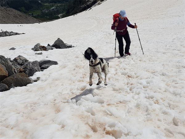 Rifugio Zamboni-Zappa (VB)