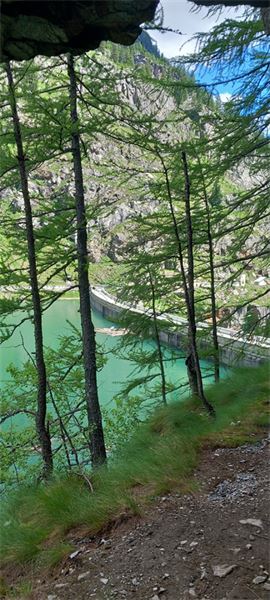 Laghi Antrona e Campliccioli (VB)