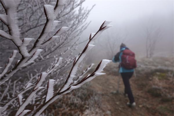 Rifugio Argentea  (GE) - con Cai Cusano M.no