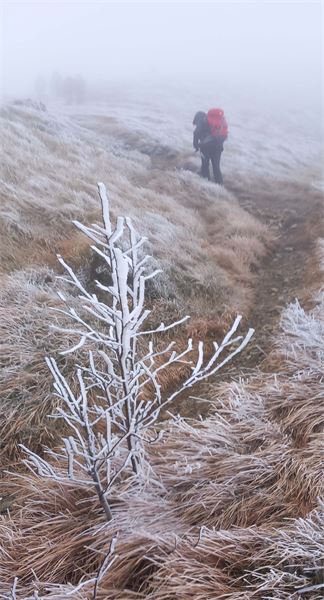 Rifugio Argentea  (GE) - con Cai Cusano M.no