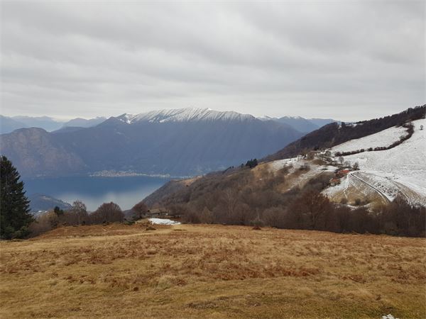 Monte di Tremezzo (CO)