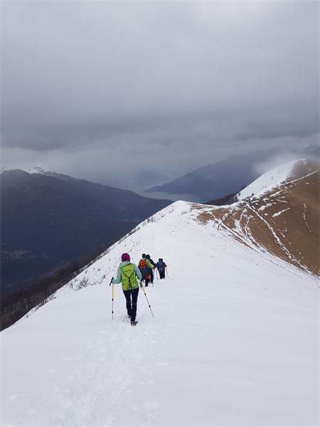 Monte di Tremezzo (CO)