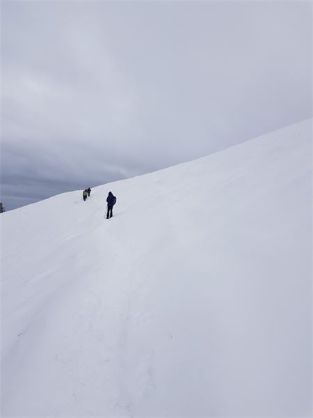 Monte di Tremezzo (CO)