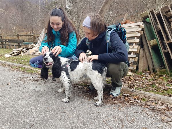 La “Stra’ vègia” - Valle Strona (VB)