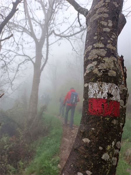 Giro del Monte Sodadura (LC)