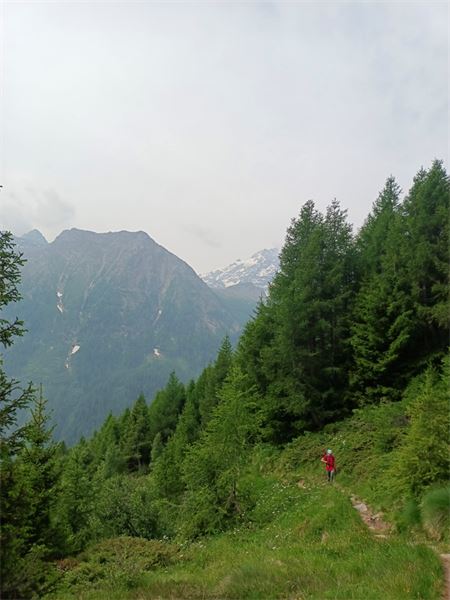 Rifugio Longoni (SO)