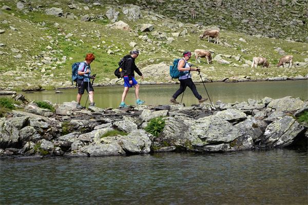 Foto dell'escursione Rifugio Stella Alpina (TN)