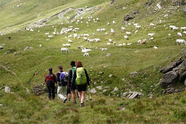 Trekking d’Agosto-Valli di Lanzo