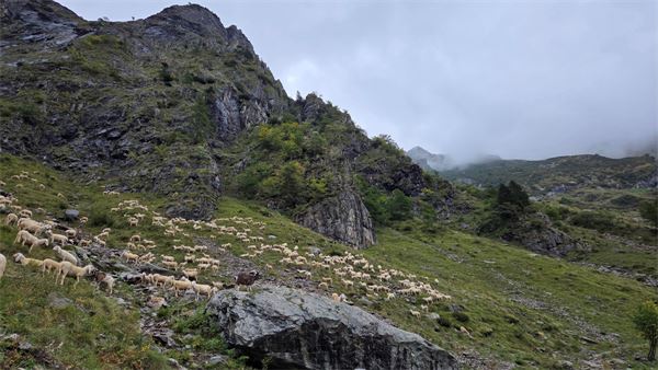 Rifugio Curò - Lago del Barbellino (BG)